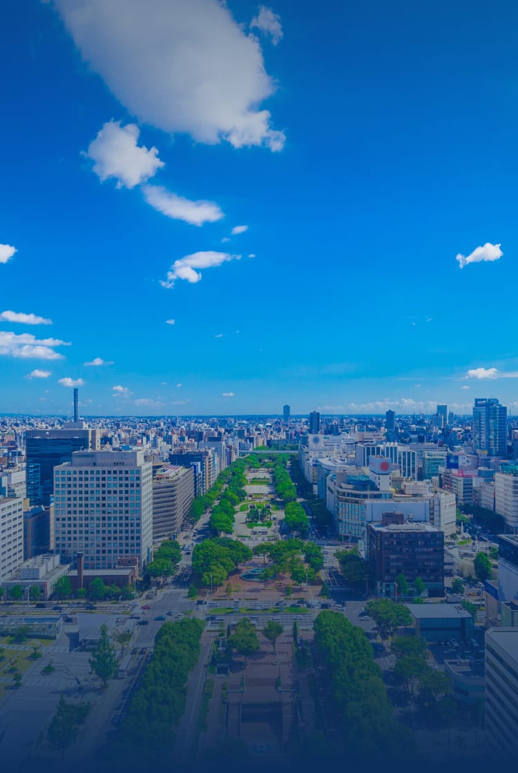 都市全体の展望